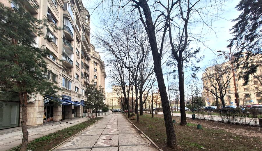 Vanzare apartament 4 camere, Bd. Unirii / Piata Constitutiei, premium - 10