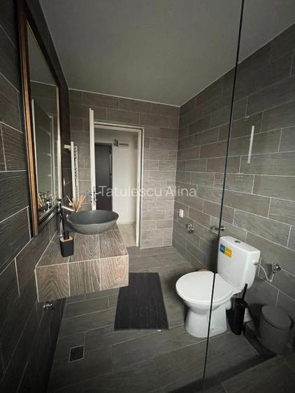 Inchiriez  Ap Luxury 2 camere, curte privata, Sector6, - 6