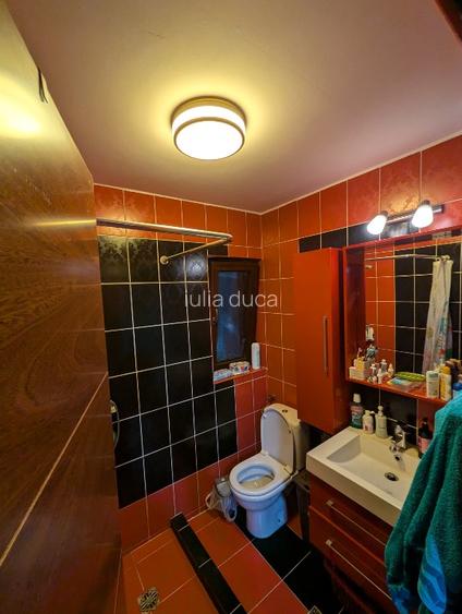 Proprietar VAND DUPLEX la cheie. 180mp casa , 250mp teres - 13