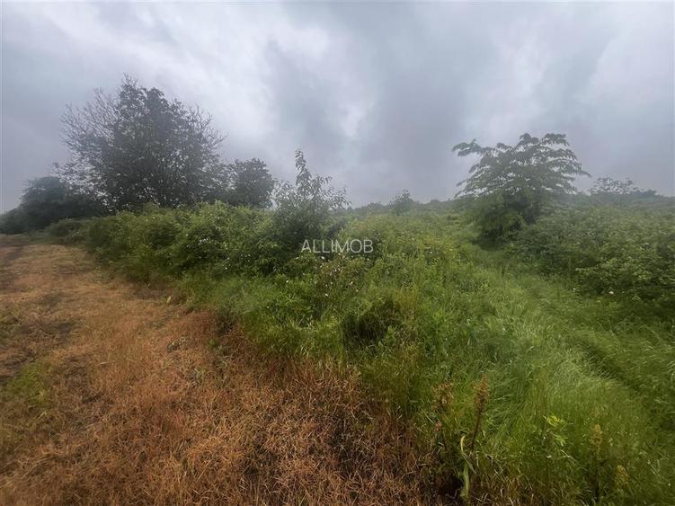 Teren intravilan, 1000mp, in Valea Calugareasca. - 2