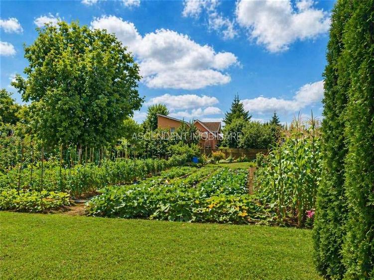 Pretios teren intravilan 1.409 mp, livada, utilitati,rezidential/ comercial, zon - 3