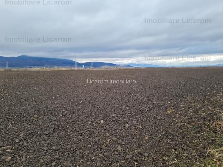 Teren extravilan 2,9 HA,intre Cristian si Vulcan - 4