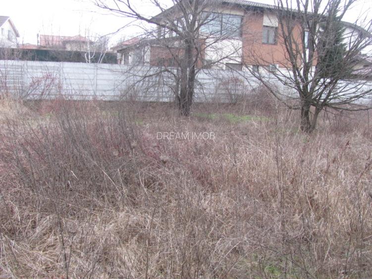 Prelungirea Ghencea - Cartierul Latin, Strada Verii - 3