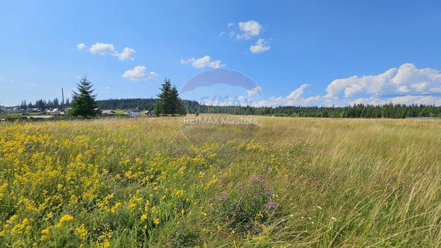 Teren parțial intravilan 30,930 mp Poiana Stampei-DN E58, Suceava - 9