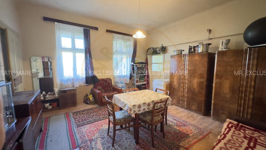 Casa 4 camere cu Teren 2.974 mp | Rezidenta sau afacere | Carei - 8