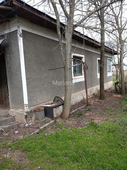 Casa caramida Ciurari - 3