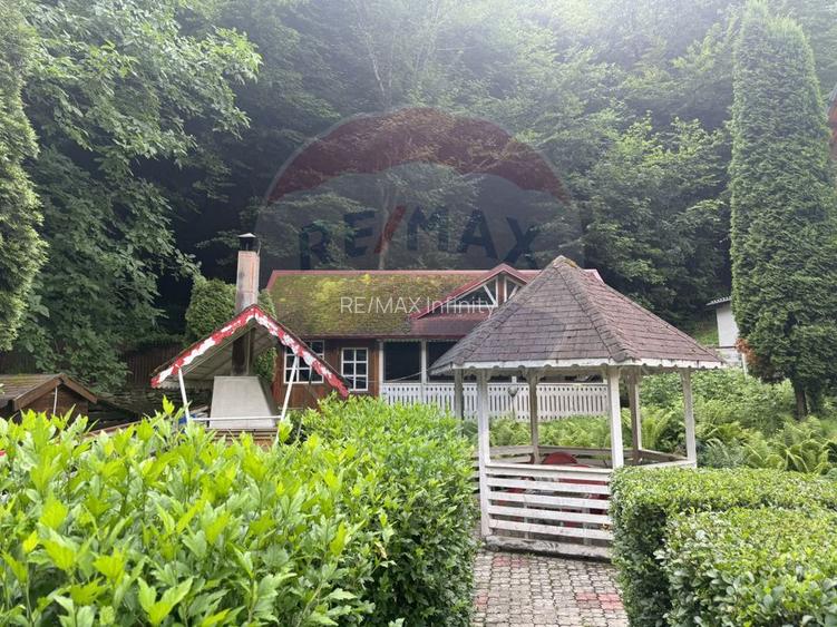 Cabana autentica de munte Frasinet - Baisoara 600 mp teren - 12