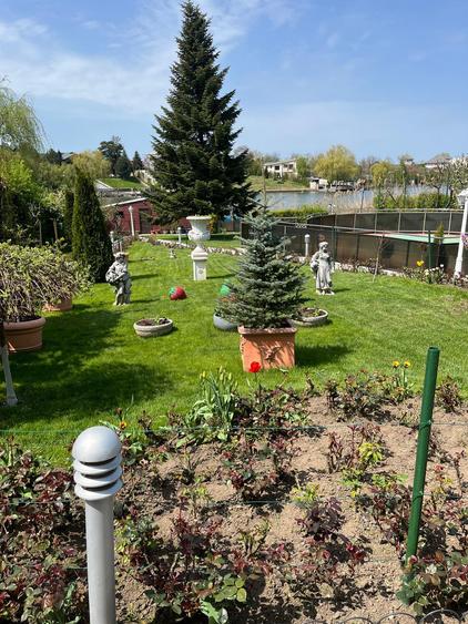Vanzare vila situata pe malul Lacului Snagov, gradina si piscina, teren 1520 mp,