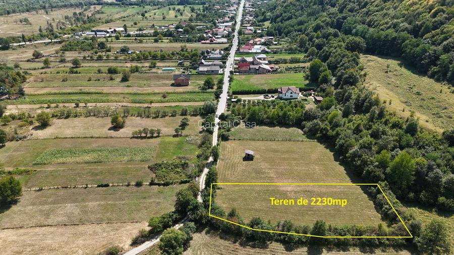 Teren superb de Vanzare in Darmanesti, Bacau - 2