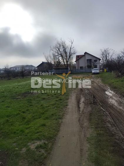 TEREN DE VANZARE DOMNESTI, 600 mp - 5
