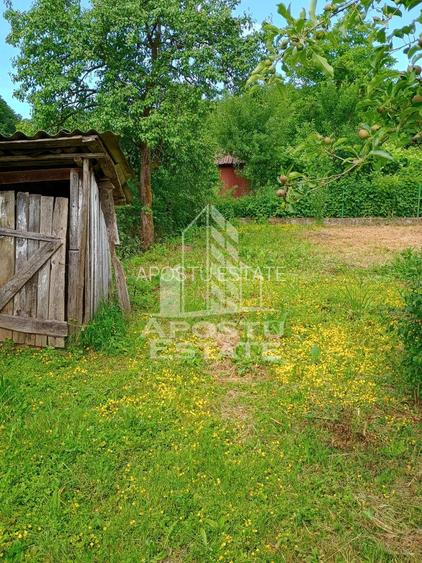 Casa batraneasca de vanzare, 4 camere, in Hunedoara, sat Micanesti - 45
