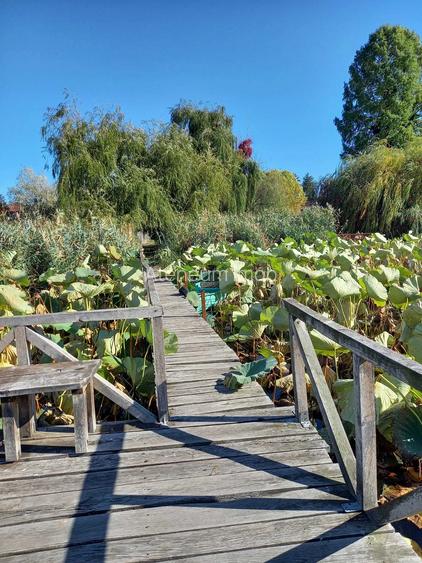 Vilă spațioasă de închiriat – Snagov, acces la lac și ponton - 2