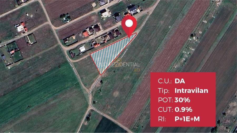 Lot de teren 1250 mp, Strada 1 Decembrie, com. Berceni. - 3
