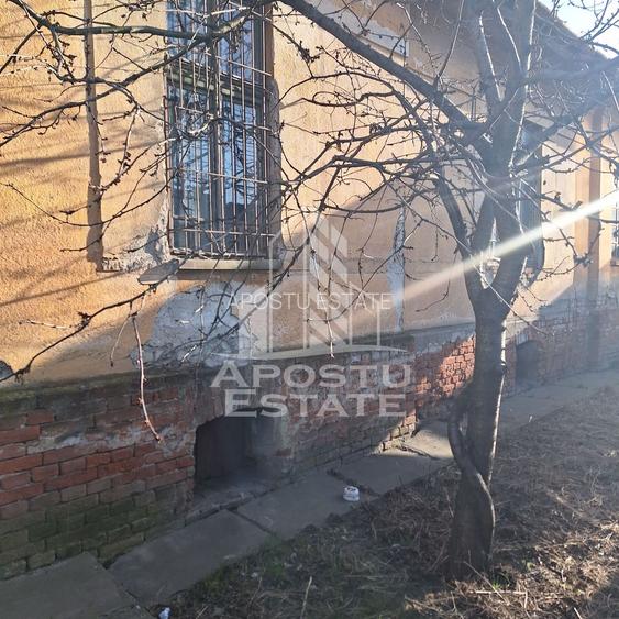 Casa individuala cu teren mare 843 mp,in zona Modern. - 9