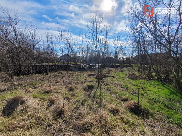 Teren intravilan 2840 mp cu fundatie - Jebel - 5