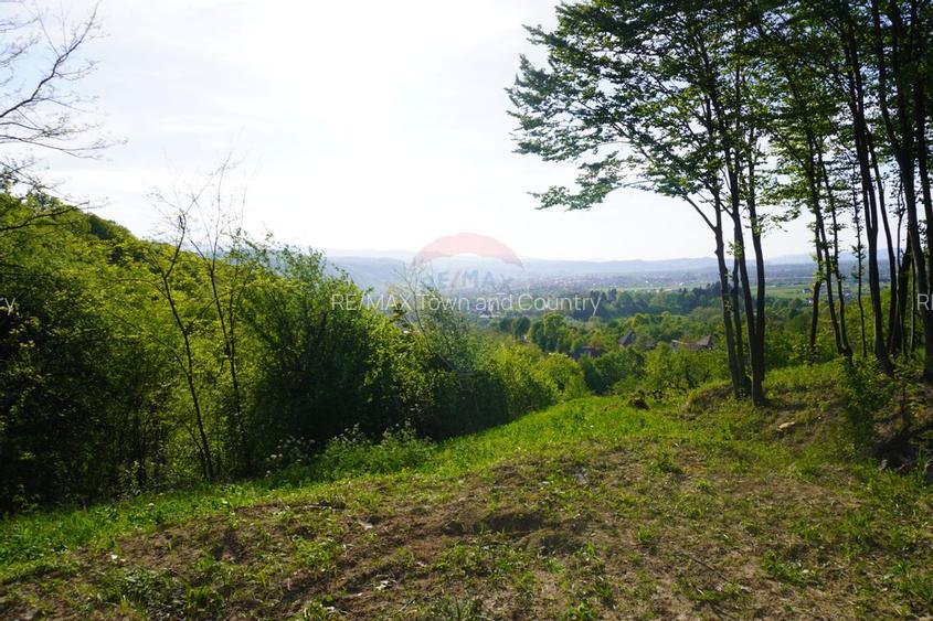 Teren 15,000mp Sighetu Marmatiei / Strada Mocanitei - 7
