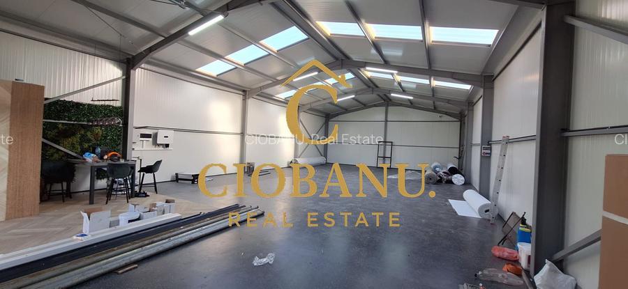 Hala de vanzare in Racarii de Jos - 13