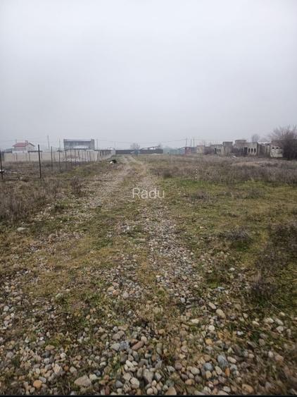 Teren intravilan Simian zona avicola - 6