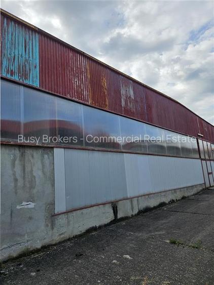 Proprietate Industriala - Productie - Industrie Alimentara - 35