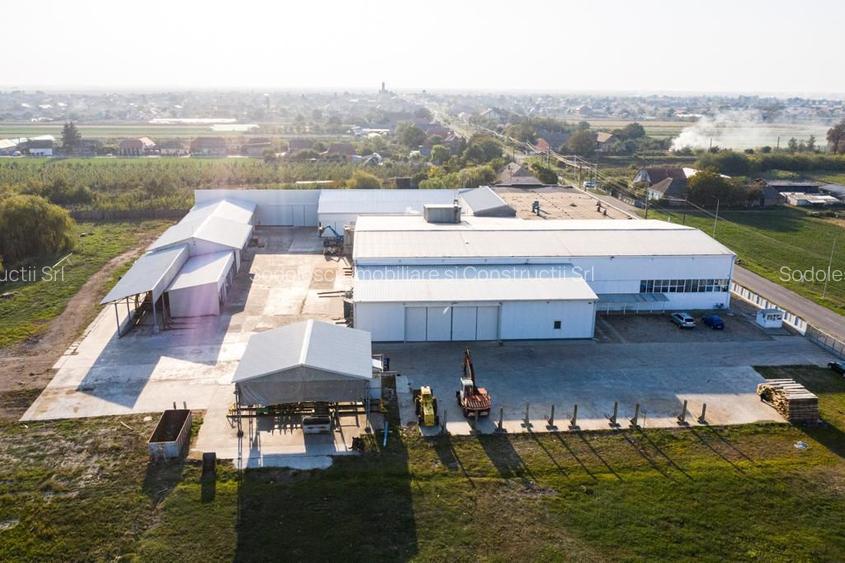 Spatiu industrial productie/ depozitare, Timiș - 4