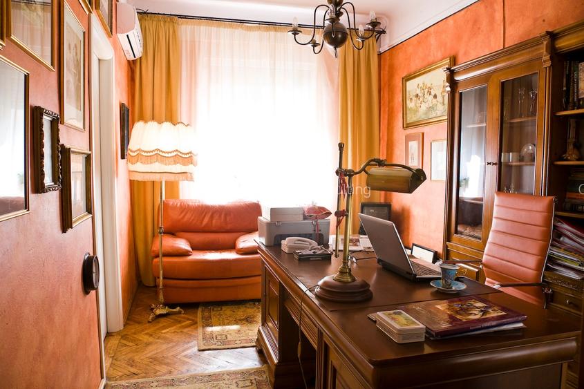 Vila desebita-POPA NAN- O oaza de liniste si verdeata in centrul orasului. - 4