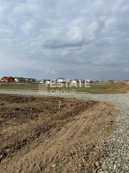 Mosnita Noua, front stradal 22 ml - 2