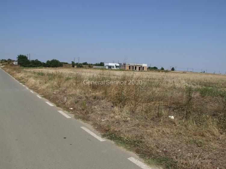 Domnesti-Salciei-stradal 6784 mp - 9