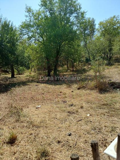 CASĂ IABLANIȚA  7 CAMERE \JUD. CS - 16