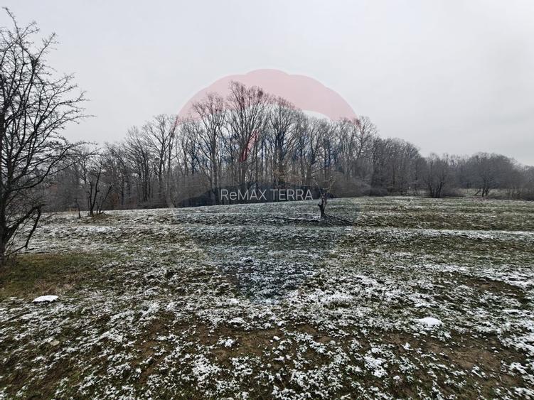 Teren 5,700mp Somcuta Mare / investitie cu potential major - 3