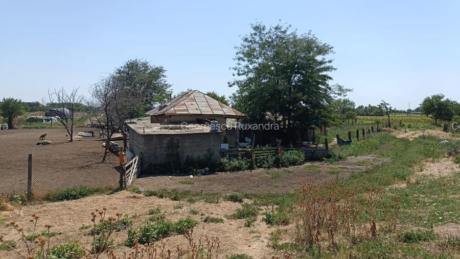 Vanzare teren partial intravilan , neimprejmuit Mizil - 3