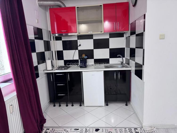 Garsonieră spațioasă de închiriat Constantin Brâncoveanu - 6