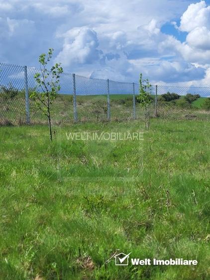 Teren extravilan 2000 mp, împrejmuit, panoramă superbă – Sălicea (Cluj) - 9