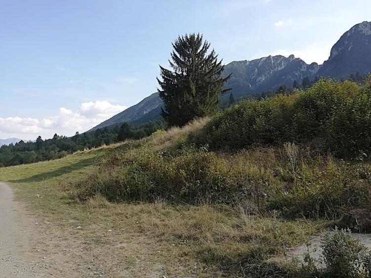 Zarnesti - Plaiul Foii, 4880 mp teren intravilan.