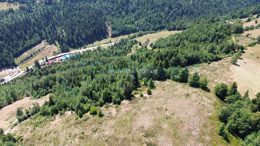 Teren pentru investitie turism, cu izvor si acces la utilitati, zona Arieseni - 5