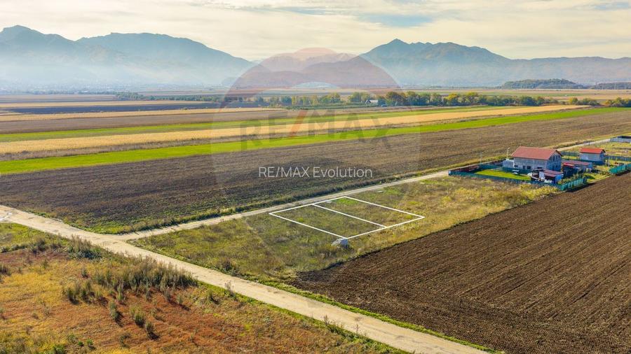 0% Comision  | Teren 650 mp | Sacele, Str. Venus | Curent + Apa - 5