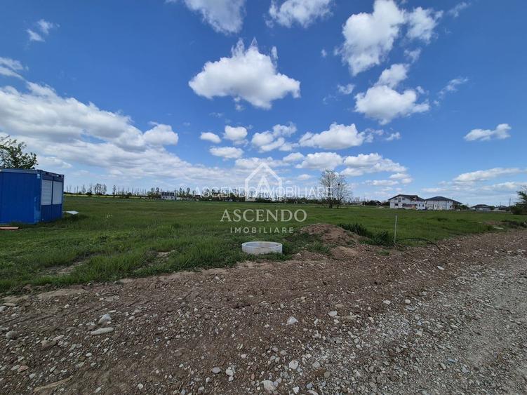 Teren intravilan 704 mp – Siliștea Snagovului | Lângă Pădurea Snagov - 8