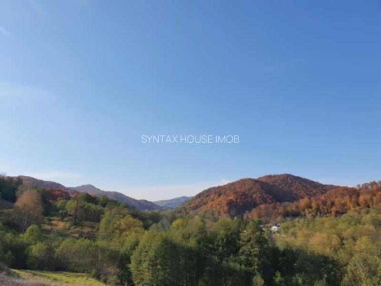 Puciosa Moreni Valea Lunga Sat Izvoru 20000mp teren de vanzare - 3