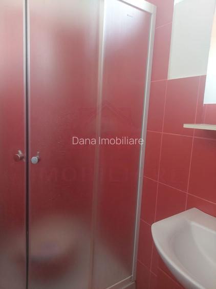 CASĂ PĂLTINIȘ\JUD. CARAȘ-SEVERIN\ COMISION 0% - 13