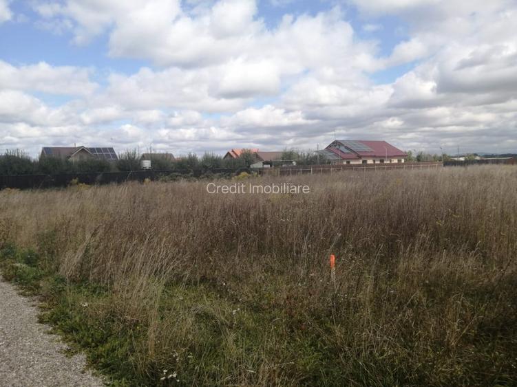 Teren de vanzare Harman - 2