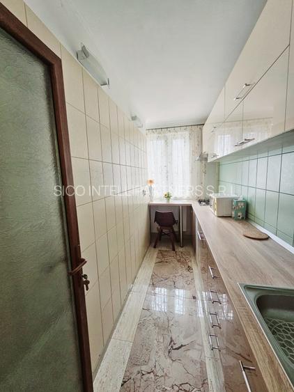 Garsonieră Dristor – Camil Ressu  - Parc Lake - 6