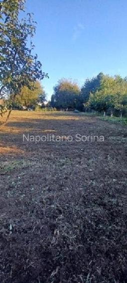 Vand 3413 mp teren intravilan - 11