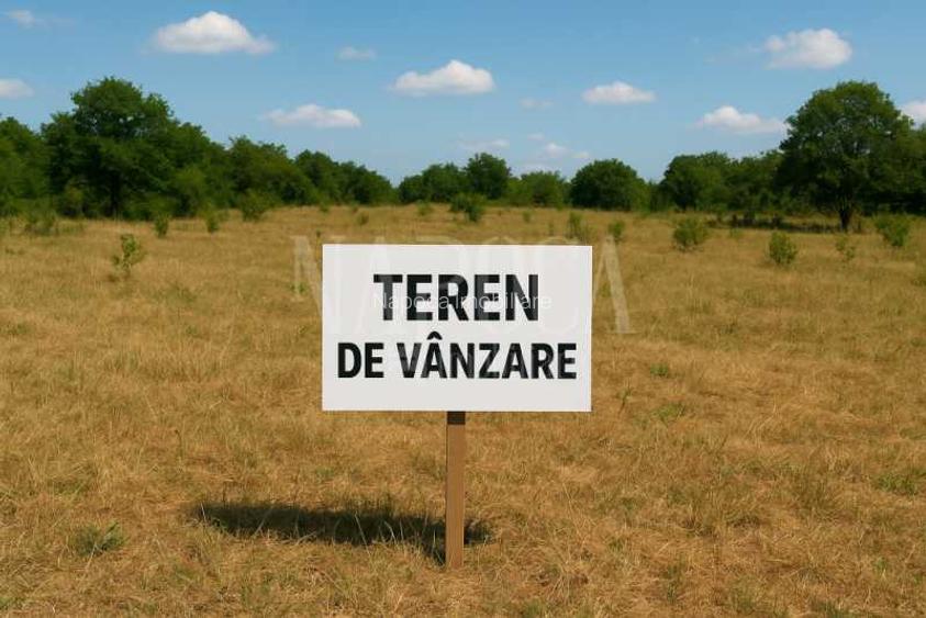 Teren extravilan agricol de vanzare in Iris, Cluj Napoca - 3