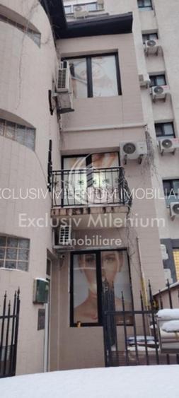 Victoriei Birouri /Vila Pasaj Basarab - Nicolae Titulescu Banu Manta - 10