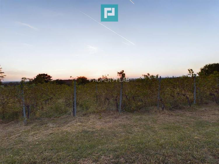 Pivnițele Birăuaș D.O.C Miniș - RATE FĂRĂ DOBÂNDĂ - 48