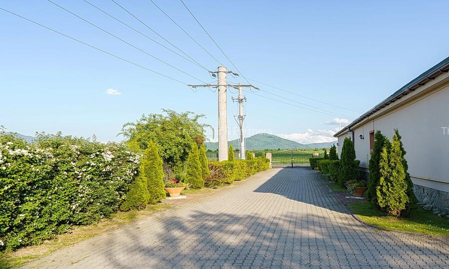 Proximitate fata de Castelul Bran - 55