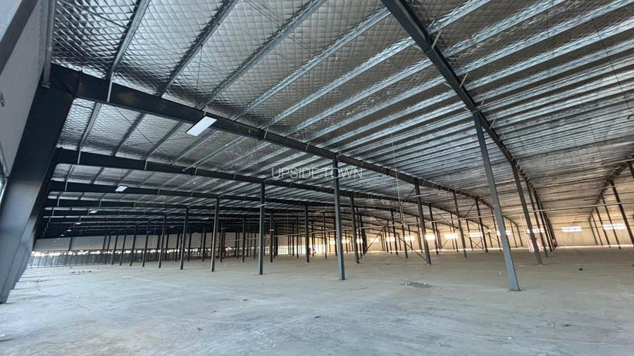 Spatiu depozitare | Industrial | Camera Frig | Afumati | Tir - 2