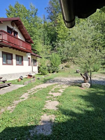 Pensiune agroturistică lângă București | Business funcțional | Iedera de Sus, DB - 21