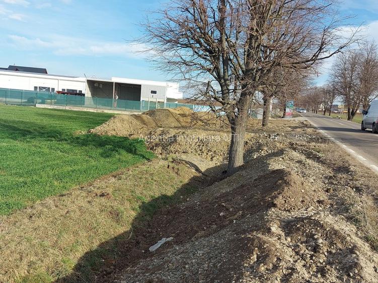 De V&acirc;nzare 50 De Ari Teren Intravilan , Ițcani , Suceava - 4