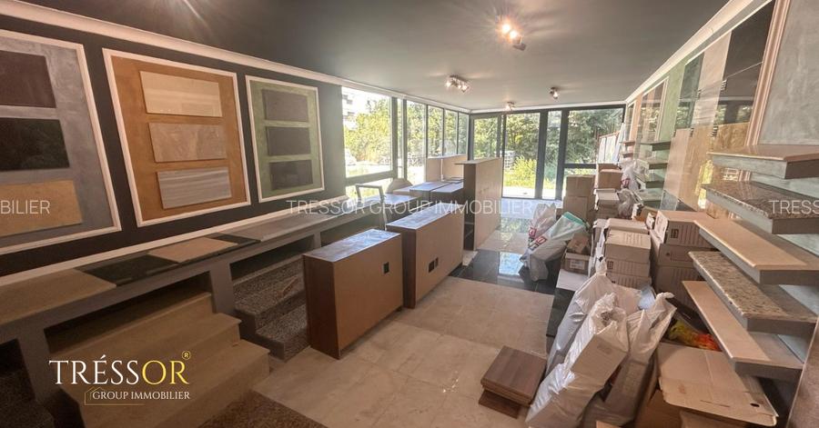 Depozit + Showroom, zonă premium Tomis Plus – Bulevardul Tomis - 5