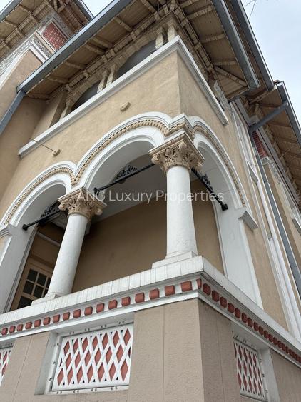 Vila  Aviatorilor cu Destinatie  Premium Business sau Ambasada - 11